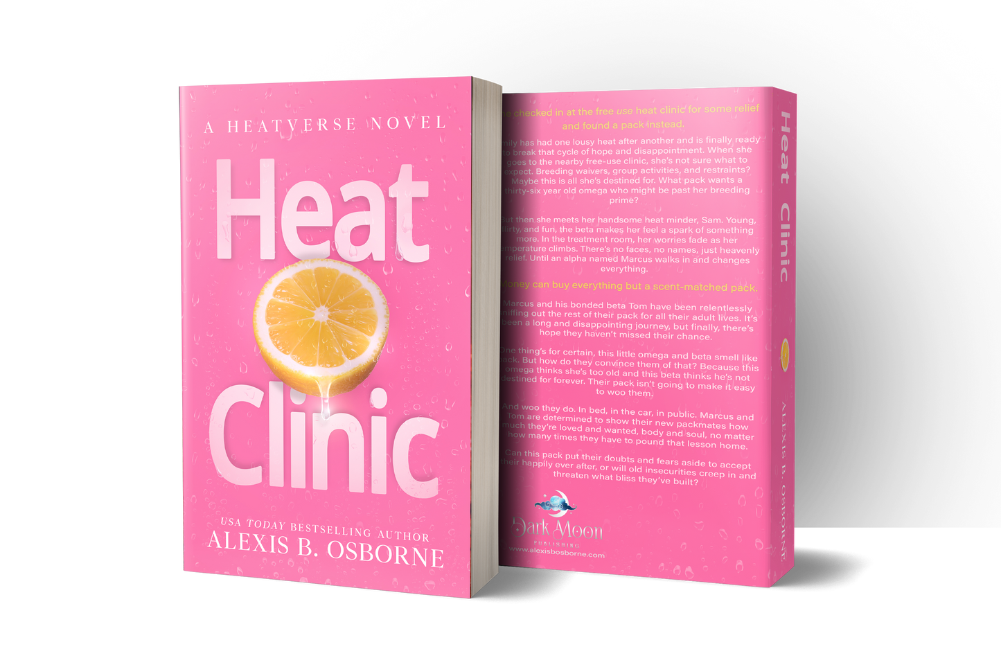 Heat Clinic paperback front and back cover