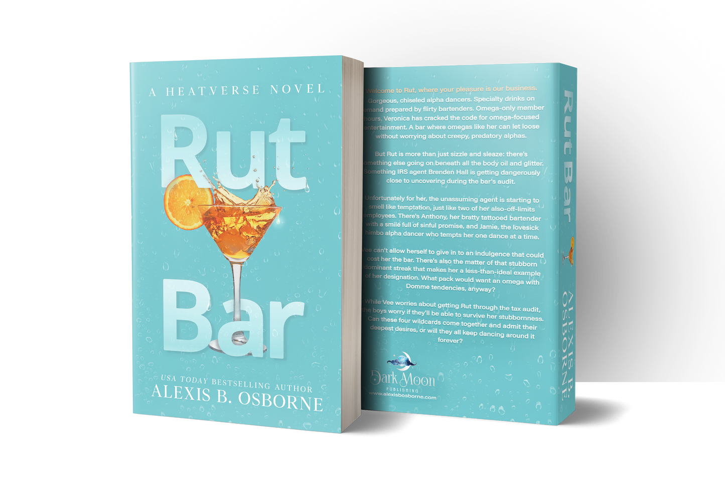 Rut Bar Discreet paperback front and back cover