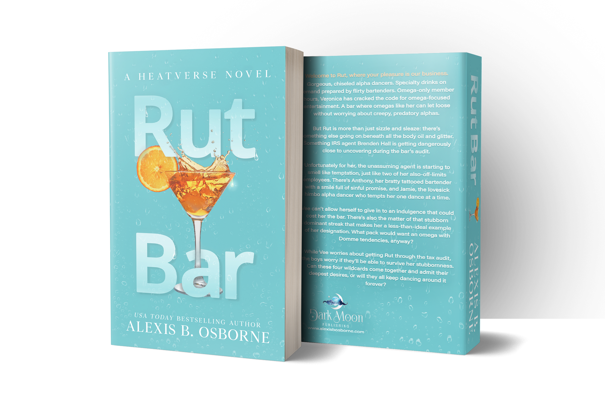 Rut Bar Discreet paperback front and back cover